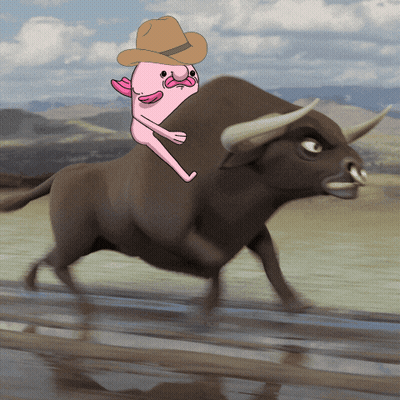 Cowboy Hat Cartoon Rides Bull GIF