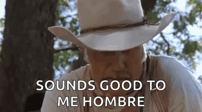Cowboy Hat Man Saying Sounds Good To Me Hombre GIF