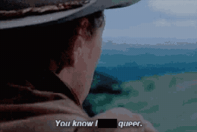 Cowboy Hat Man Says You Know I Queer Pixelated GIF