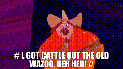 Cowboy Hat Man Singing With Guitar GIF