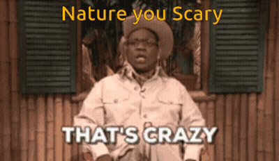 Cowboy Hat Man Sitting By Window Saying Nature You Scary That's Crazy GIF
