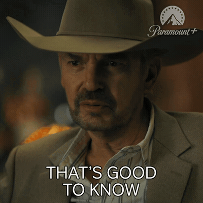 Cowboy Hat Sunglasses Driving Saying There Is Nothing GIF