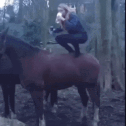 Cowboy Stunt Fail Hold My Beer GIF