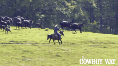 Cowboy Way Poster Man Riding Horse In Grassy Field GIF