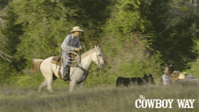 Cowboy Way Poster Man Riding Horse GIF