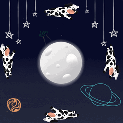 Cows Around Flying The Moon