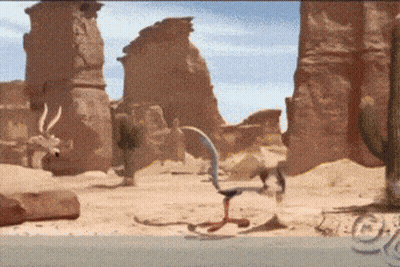 Coyote And Cactus In Desert GIF