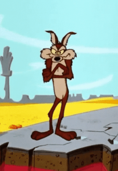 Coyote From Looney Tunes Standing On Rock In Desert GIF