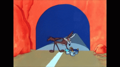Coyote In Tunnel With Bucket Of Food GIF