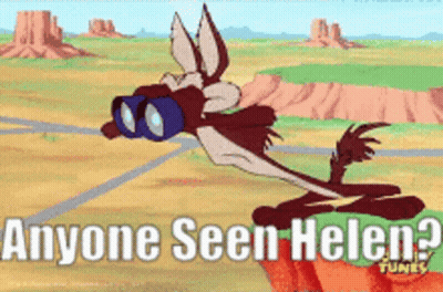 Coyote Looking Through Binoculars Anyone Seen Helen GIF