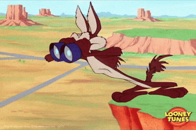Coyote With Binoculars Looney Tunes GIF