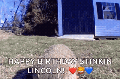 Coyote With Happy Birthday Lincoln GIF