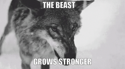 Coyote With The Beast Grows Stronger Caption GIF