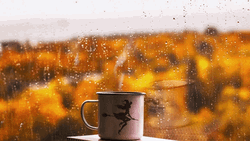 Cozy Autumn Rainy Day Coffee GIF