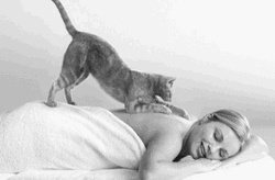 Cozy Cat Massage Dreaming GIF