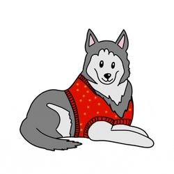 Cozy Husky In Festive Sweater Relaxing GIF
