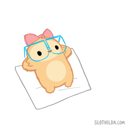 Cozy Slothilda Corgi Dog GIF