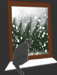 Cozy Snow Day Black Cat GIF