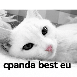 Cpanda Meme GIF