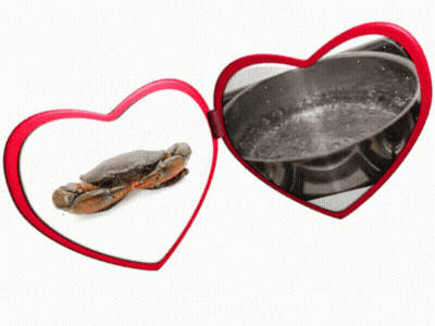 Crab And Boiling Water GIF