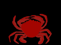 Crab Animation Let Go