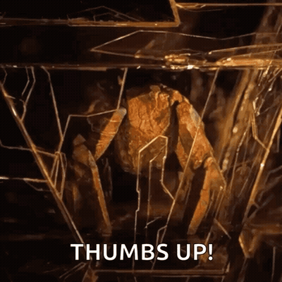 Crab Behind Broken Glass Saying Thumbs Up GIF