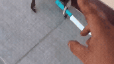 Crab Holding Blue Sword GIF