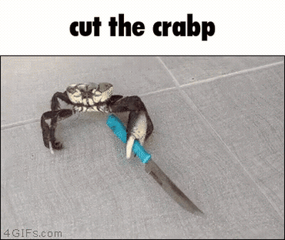 Crab Holding Knife Saying Cut The Crabp GIF