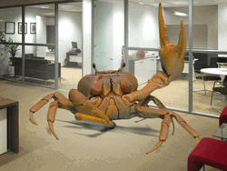 Crab Rave Office Company GIF