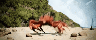 Crab Walking On Rocky Beach With Mountain GIF