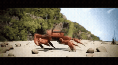 Crab Walking On Sandy Beach With Arrow Pointing GIF