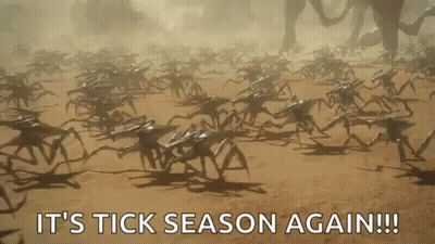 Crabs Walking In Dirt It's Tick Season Again GIF