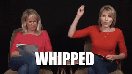 Crack The Whip Whipped GIF