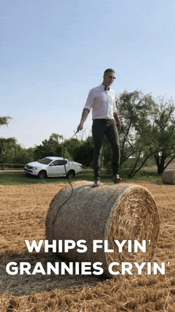 Crack The Whip Whips Flying Grannies GIF