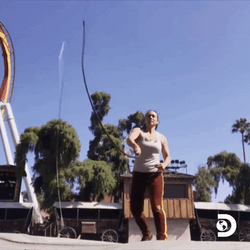 Cracking The Whip Funny Reaction GIF