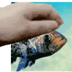 Crappie Fish Sticker GIF