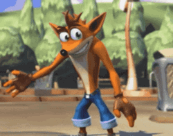Crash Bandicoot Fox Shrug