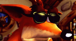 Crash Bandicoot Sunglasses On GIF