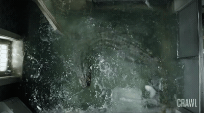 Crawl GIF
