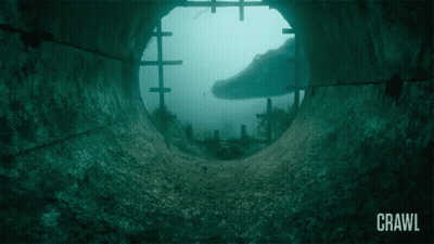 Crawl On Photo GIF