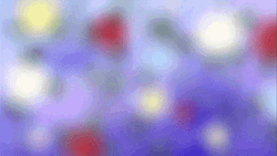 Crayon Shin Chan Hiroshi Nohara Roses GIF