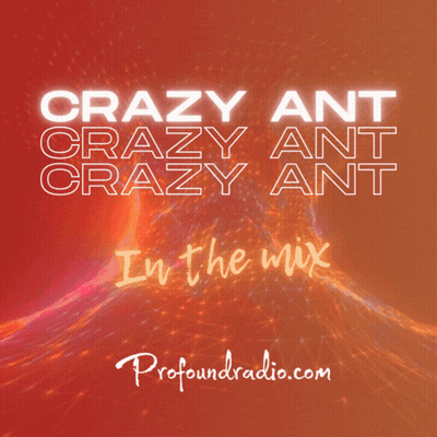 Crazy Ant Crazy Ant Crazy Ant In The Mix Advertisement GIF
