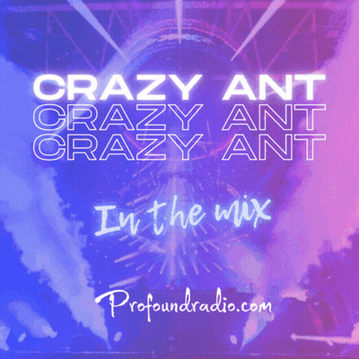 Crazy Ant In The Mix GIF