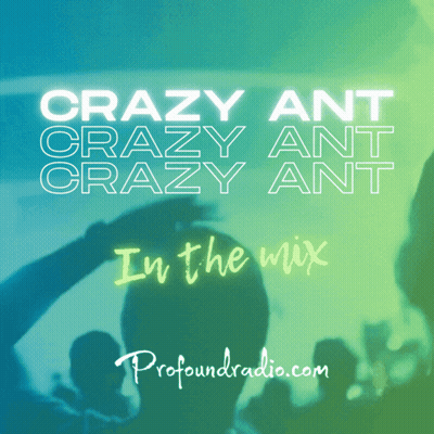 Crazy Ant in the Mix Profoundradio Poster
