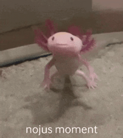 Crazy Axolotl Shock Reaction GIF