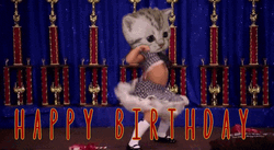 Crazy Birthday Dance Kitty Head GIF