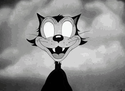 Crazy Cat Rolling Eyes Animation GIF
