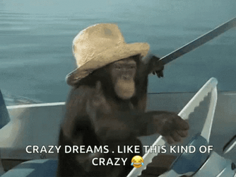 Crazy Dream We Gonna Need A Bigger Boat GIF