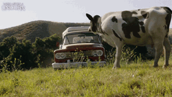 Crazy Driver From Wish Upon A Unicorn GIF