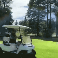 Crazy Driver Operating Golf Cart GIF